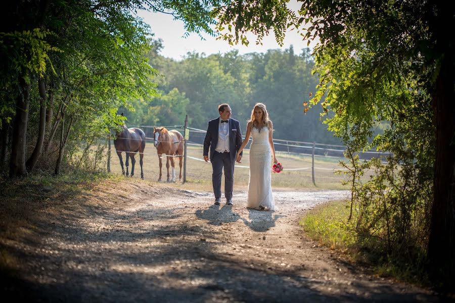 Fotografo di matrimoni Sasa Raskovic (sasaraskovic). Foto del 11 agosto 2017