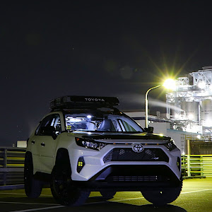 RAV4 MXAA54