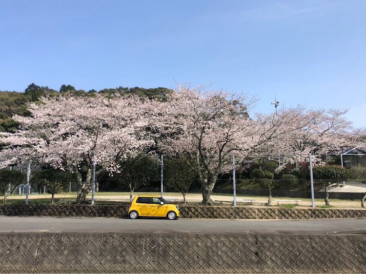 N-ONEのKIINAI愛車・N-ONE GL Neo Classic・2021年桜🌸。に関するカスタム事例の投稿画像9枚目