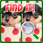 Find The Differences Dogs Apk