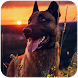 Malinois Wallpaper : Belgian Malinois 2020