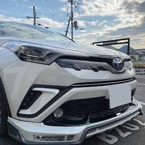 C-HR ZYX10