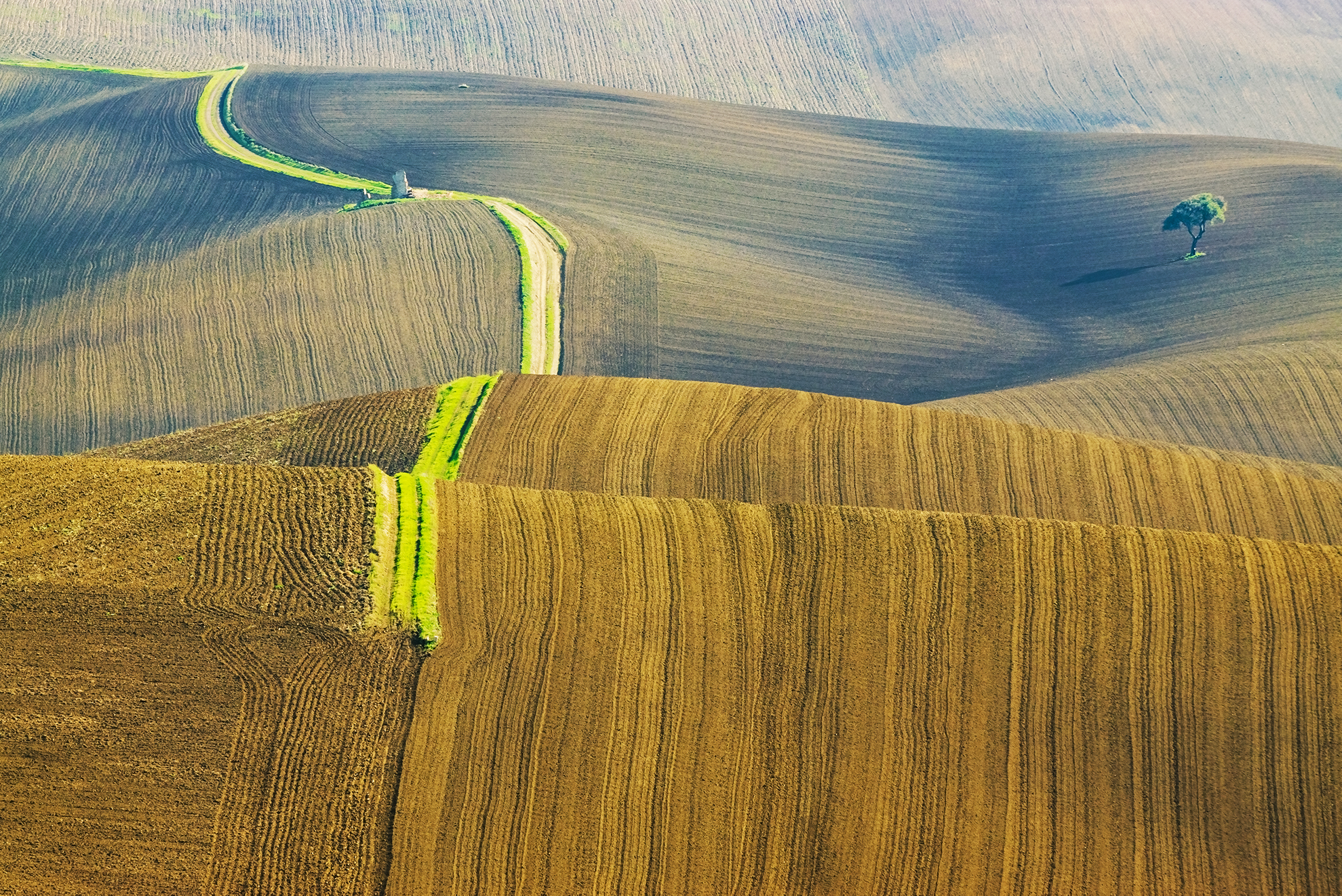 Strada vellutata di Attidep