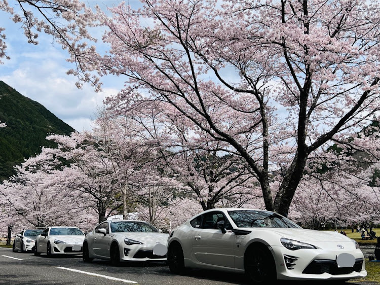 86の下北山スポーツ公園・鬼ヶ城・さくらとコラボに関するカスタム事例の投稿画像2枚目