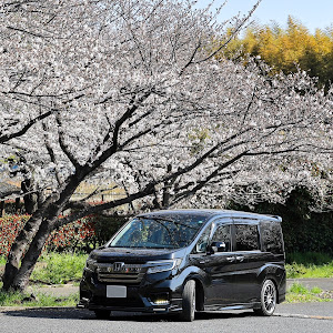 ステップワゴンスパーダ RP5
