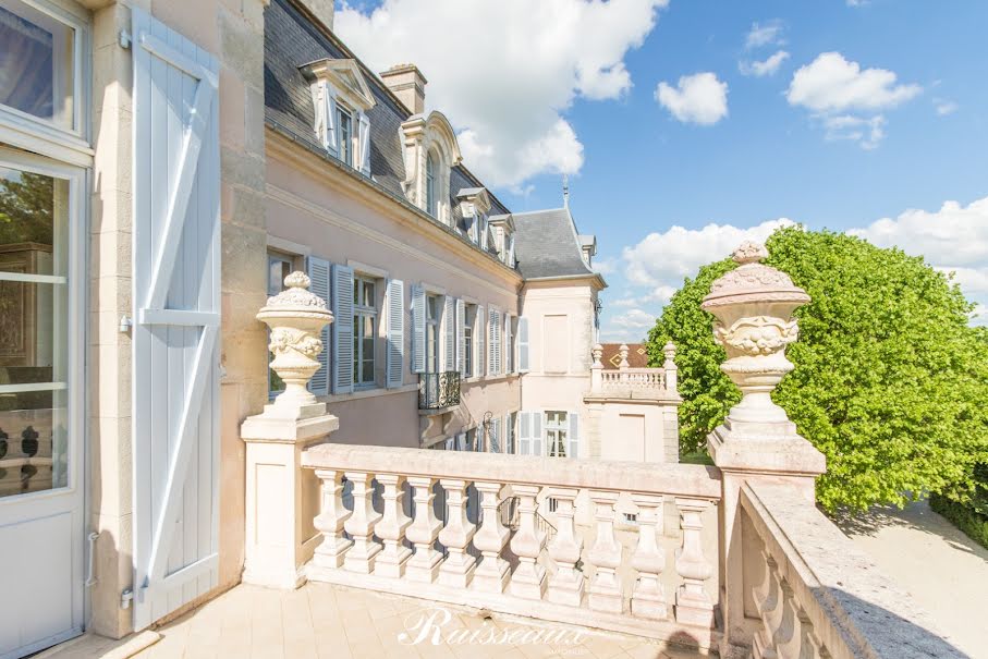 Vente château 17 pièces 685 m² à Dijon (21000), 3 600 000 €