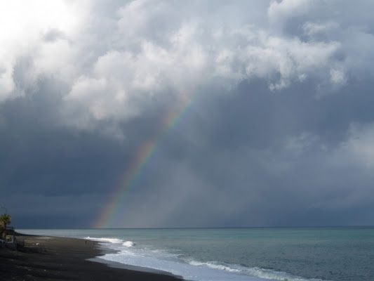 QUESTA MERAVIGLIOSA NATURA......... di dani62