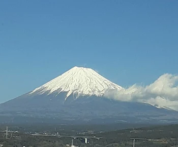 できれば見て～