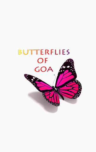 Butterflies of Goa