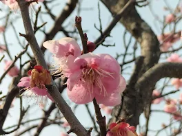 よろしくお願いします！