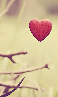 Heart Live Wallpaper (Wallpapers & Backgrounds) - náhled