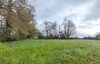 terrain à La Gacilly (56)