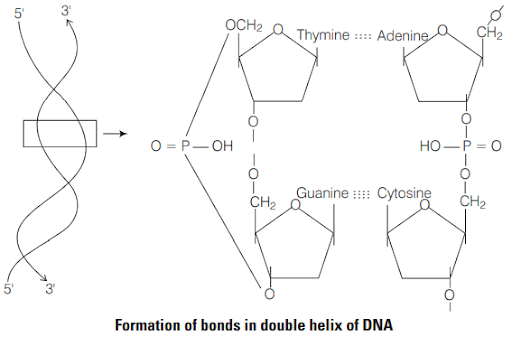 Solution Image