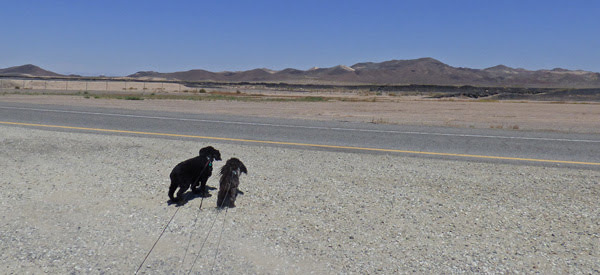 Rest Area, I-40 just before Barstow, CA