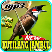 Kicau Burung Kutilang Jambul Top Mp3  Icon