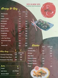 Sarkar Veg & Non Veg Chinese Restaurant menu 2