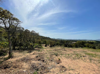 terrain à batir à Figari (2A)