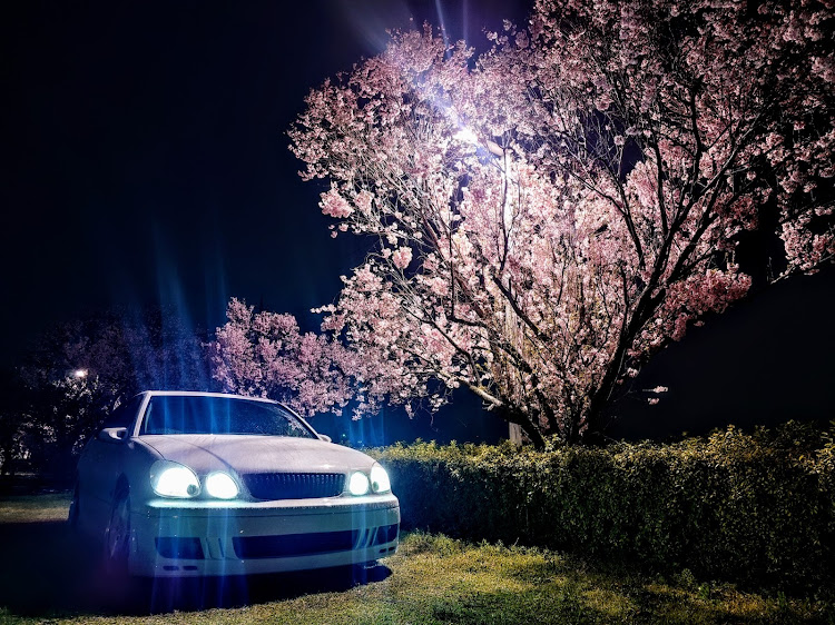 アリストのサクラと愛車・#愛車は裏切らない・コラボお誘いお待ちしております・いいね＆フォロー＆コメントありがとうございます・4月もよろしくお願い致します🌸に関するカスタム事例の投稿画像2枚目