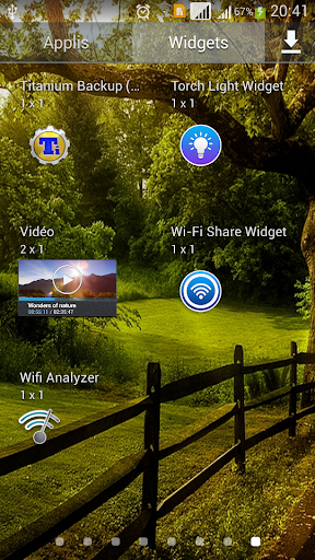 TorchLight Widget