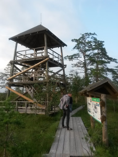 Cenas tīreļa skatu tornis