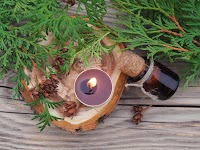 Thuja branches, herbal oil and burning flavored candle on wooden table, top view, flat layout. Natural medicinal plants for use in therapy, alternative medicine, homeopathy and cosmetology