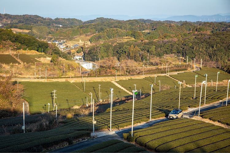 シエンタのシエンタリフトアップ・茶畑と愛車・静岡カメラツアー・OSAKANA DAISUKI・また行きたい場所に関するカスタム事例の投稿画像4枚目