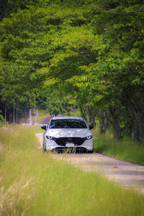 MAZDA3の新緑と愛車・６月もよろしくお願いします・プロドライブGC-05N・カメラマンは息子に関するカスタム事例の投稿画像4枚目