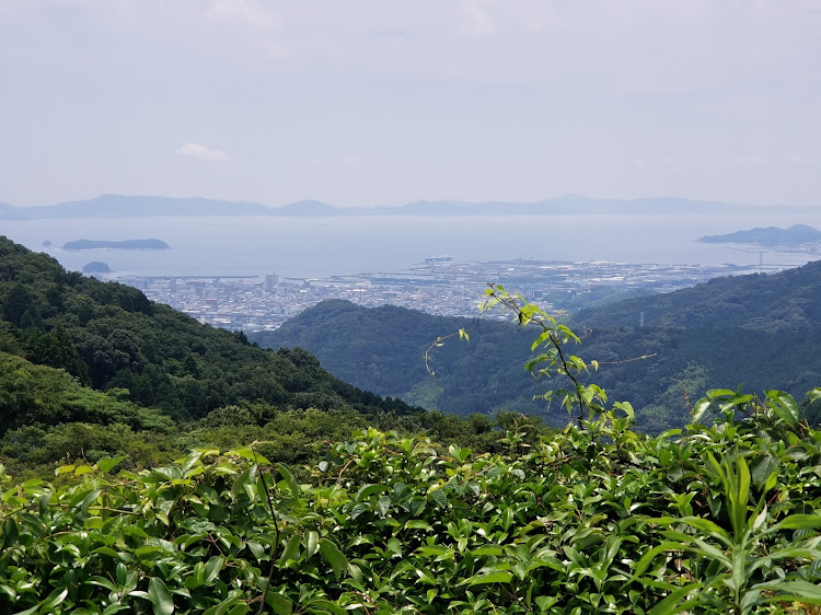 コペンのコペンの旅に関するカスタム事例の投稿画像6枚目