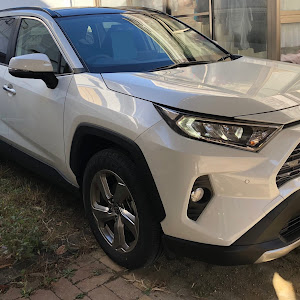 RAV4