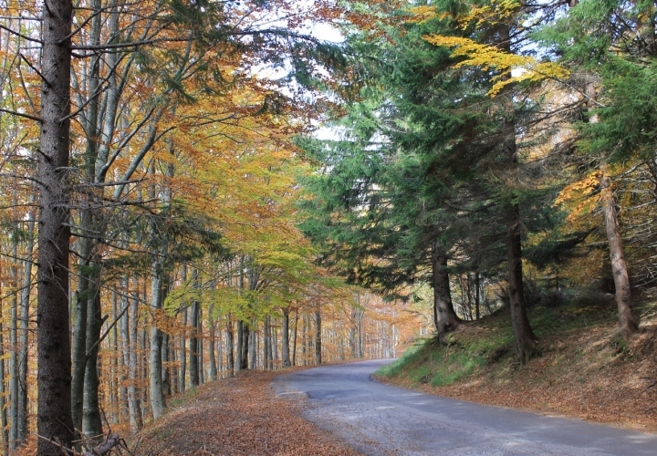 Viaggio nell'autunno toscano di Totta.N