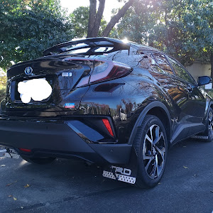 C-HR ZYX10