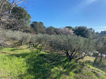 terrain à Lorgues (83)