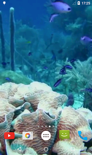 Marine Aquarium Live Wallpaper