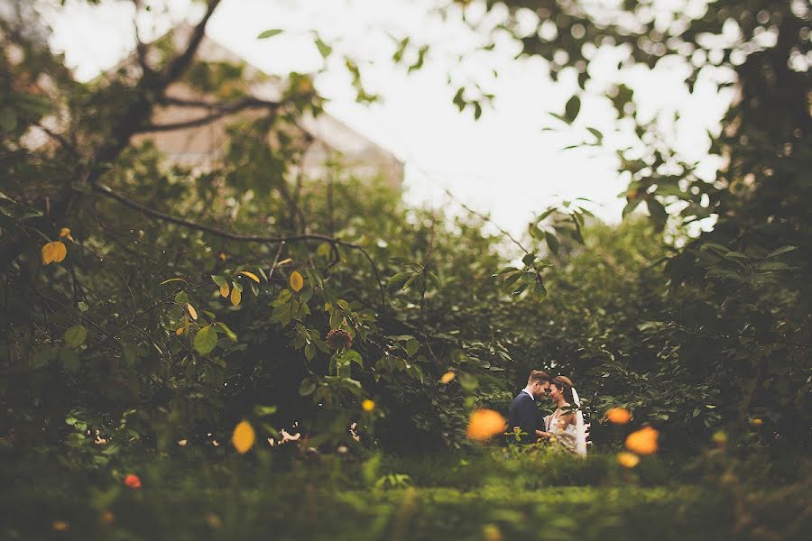 Düğün fotoğrafçısı Evgeniya Batysheva (b-bee). 16 Eylül 2013 fotoları