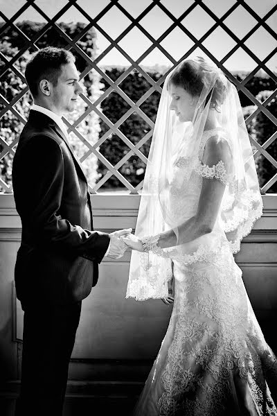 Fotografo di matrimoni Alvydas Kučas (alvydaskucas). Foto del 25 agosto 2016
