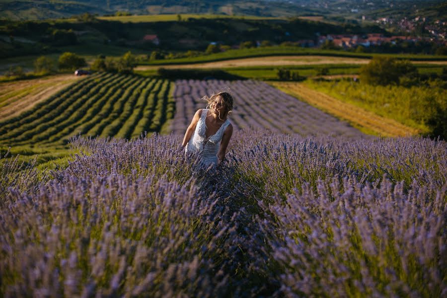 結婚式の写真家Marko Milivojevic (milivojevic)。2019 8月15日の写真