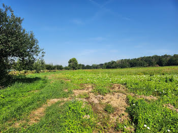 maison neuve à Friesen (68)