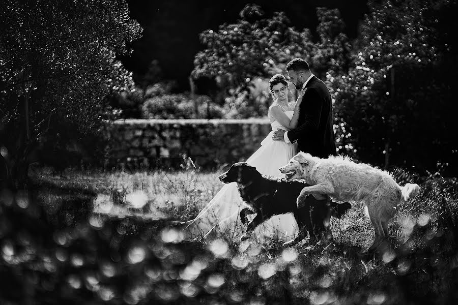 Fotografo di matrimoni Vincenzo Tortorella (tortorella). Foto del 21 luglio 2022