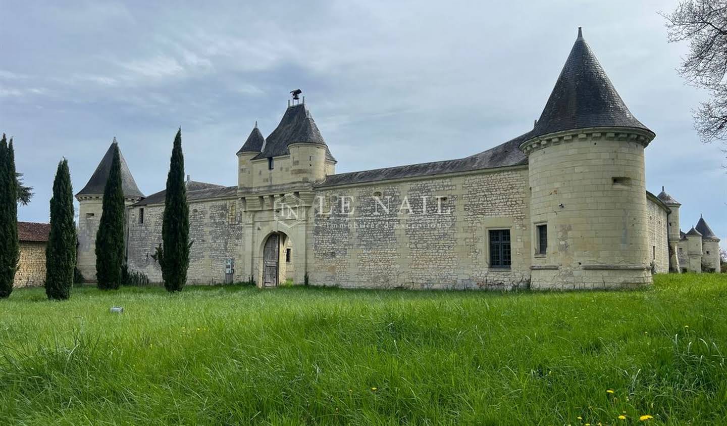 Castle Loudun