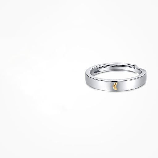 Title 2, Silver ring with sun, moon, and stars, represen...