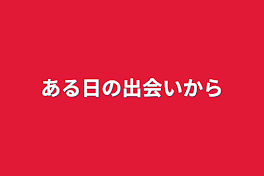 ある日の出会いから