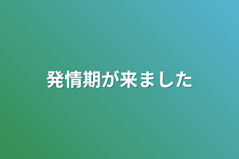 発情期が来ました