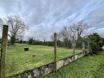 terrain à Sergines (89)