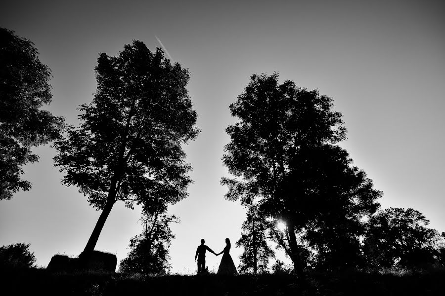 Fotógrafo de bodas Andrey Tarasyuk (tarasyuk2015). Foto del 11 de octubre 2018