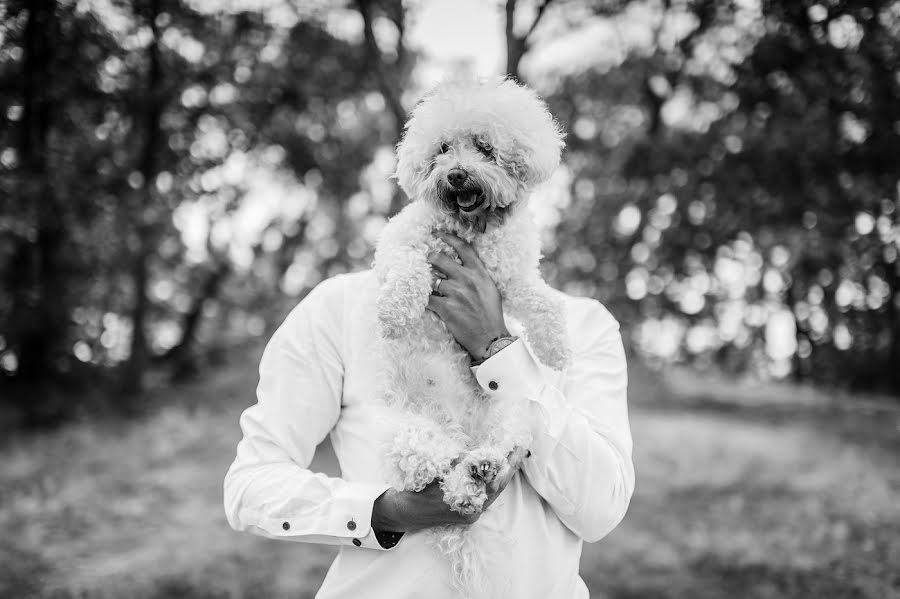 Fotógrafo de bodas Petr Wagenknecht (wagenknecht). Foto del 18 de agosto 2019