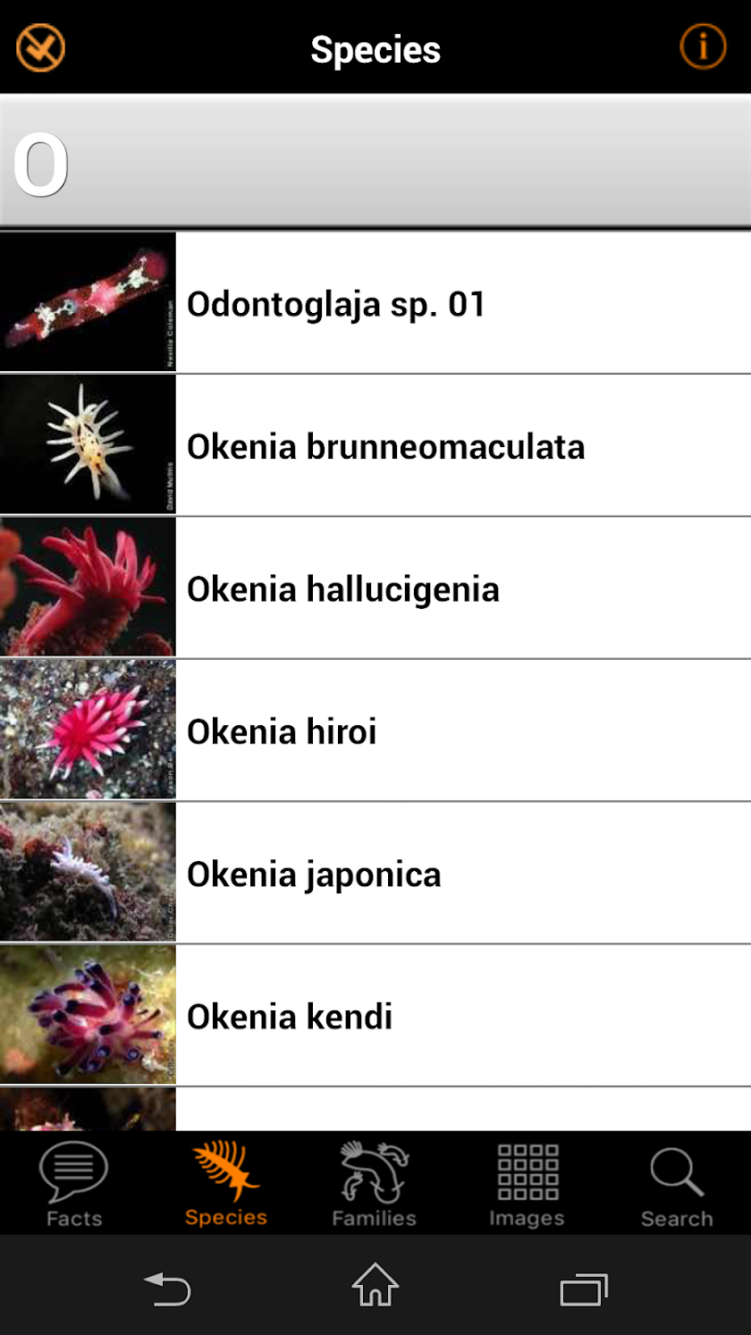 Nudibranch ID Indo Pacific Screen 3