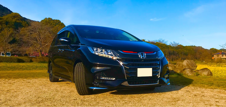 オデッセイのドアバイザーゲット・春もあと少しコラボに関するカスタム事例の投稿画像3枚目