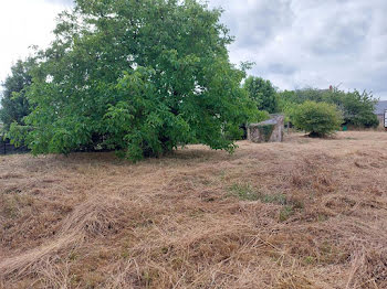 terrain à Camoël (56)