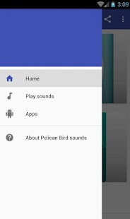 Pelican bird sounds - náhled