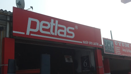 Nasip oto lastik Petlas